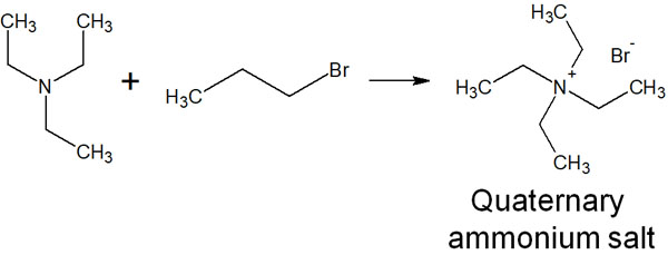 Amines And Thiols Reactivity Of Nucleophilic Substitution And Elimination Reactions ｜ Hatsudy 9360